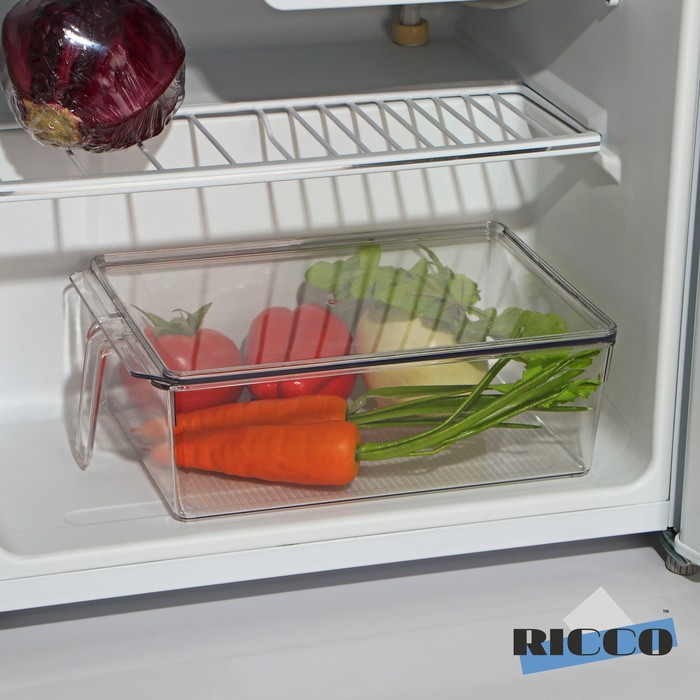 Контейнер для холодильника с крышкой и ручкой RICCO, 32×20,5×10 см контейнер для холодильника с ручкой кофейный