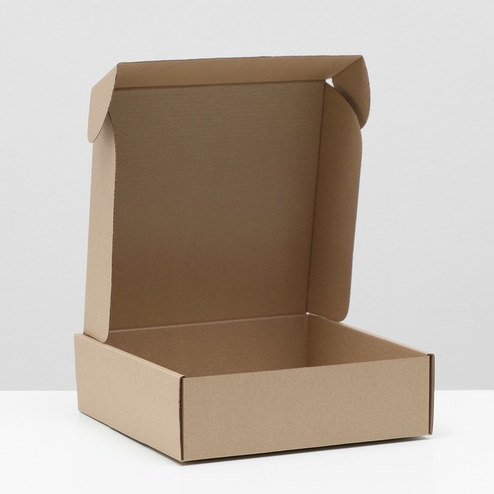 Коробка самосборная, бурая, 24 х 24 х 7,5 см,