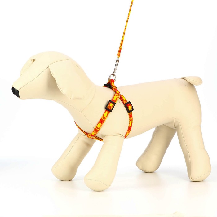 фото Комплект "большая лапа", ширина 1 см, поводок 120 см, шлейка 25-36 см, оранжево-жёлтый пижон