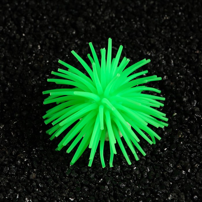 Декоративный анемон для аквариума, 8 х 5 см, зелёный