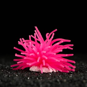 Декоративный анемон для аквариума, 8 х 5 см, розовый Ош