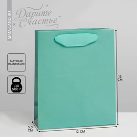Пакет подарочный ламинированный, упаковка, «Тиффани», S 12 х 15 х 5.5 см