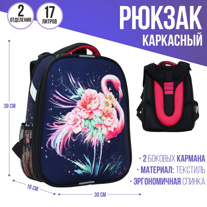 фото Рюкзак каркасный 38 х 30 х 16 см, эргономичная спинка, calligrata probag "фламинго" (школьный, с ситемой роста)