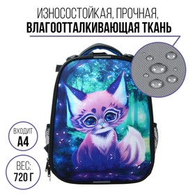 

Рюкзак каркасный 38 х 30 х 16 см, эргономичная спинка, Calligrata Probag "Волшебный" (школьный, с ситемой роста)