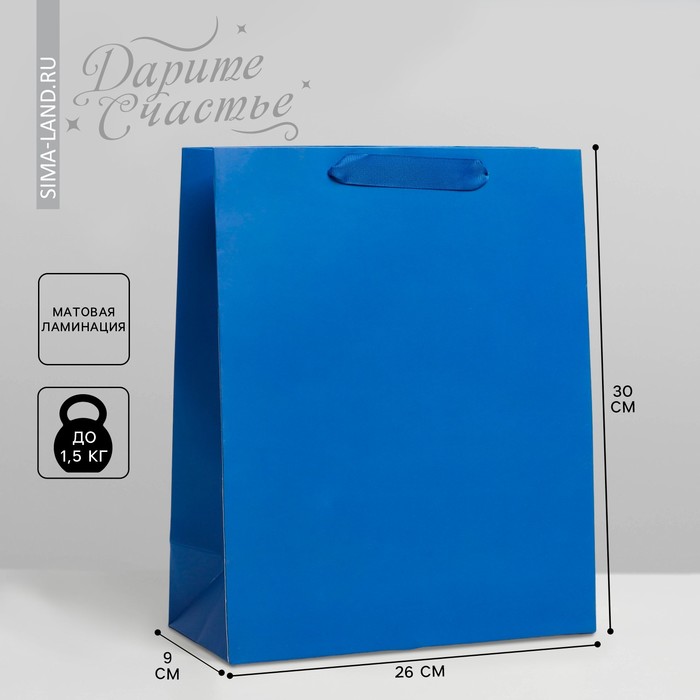 Пакет подарочный ламинированный, упаковка, «Синий», M 26 х 30 х 9 см