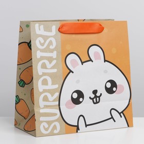 Пакет подарочный крафтовый квадратный, упаковка, «Suprise», 22 х 22 х 11 см
