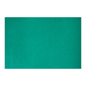 Картон цветной А4, 190 г/м2, немелованный, зелёный, цена за 1 лист Ош
