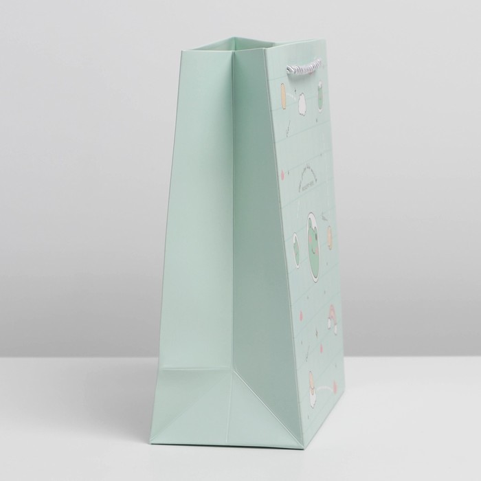 

Пакет «Милая лягушка», 33 х 25 х 12 см