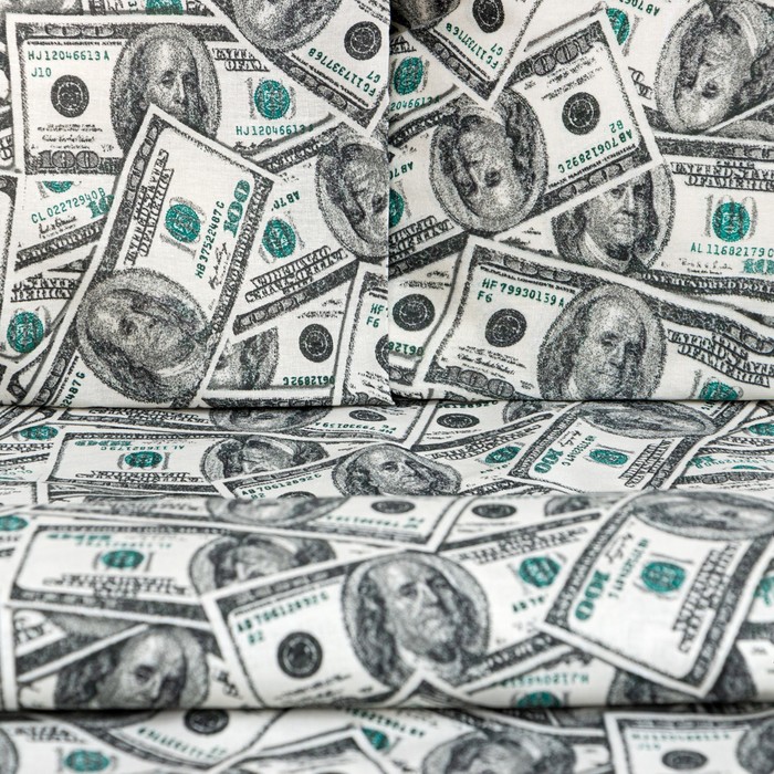 

Постельное бельё «Этель» евро Cash 200х217 см, 220х240 см, 70х70 см -2 шт, бязь 125 г/м2