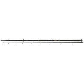 

Спиннинг штекерный DAIWA Exceler Catfish 3.30m (200-600г)