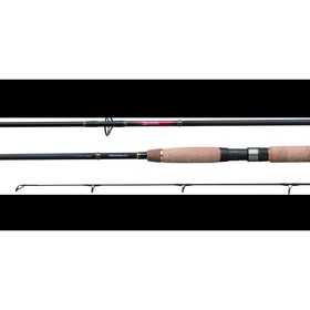 

Спиннинг штекерный DAIWA Team Daiwa-RU TD-RU 1002 HFS 3,05м (15-50г)