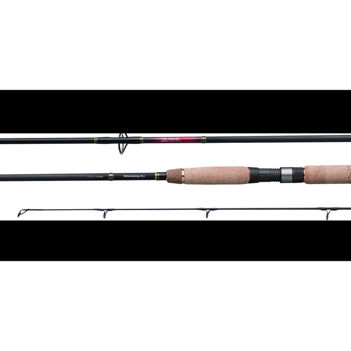 Спиннинг штекерный DAIWA Team Daiwa-RU TD-RU 1002 HFS 3,05м (15-50г)