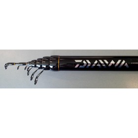 

Удилище с/к DAIWA Sweepfire 6,00м SWV-60G-AR