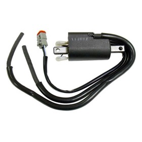 

Катушка зажигания Ski-doo, OEM 512059564, 410922935, SM-01150