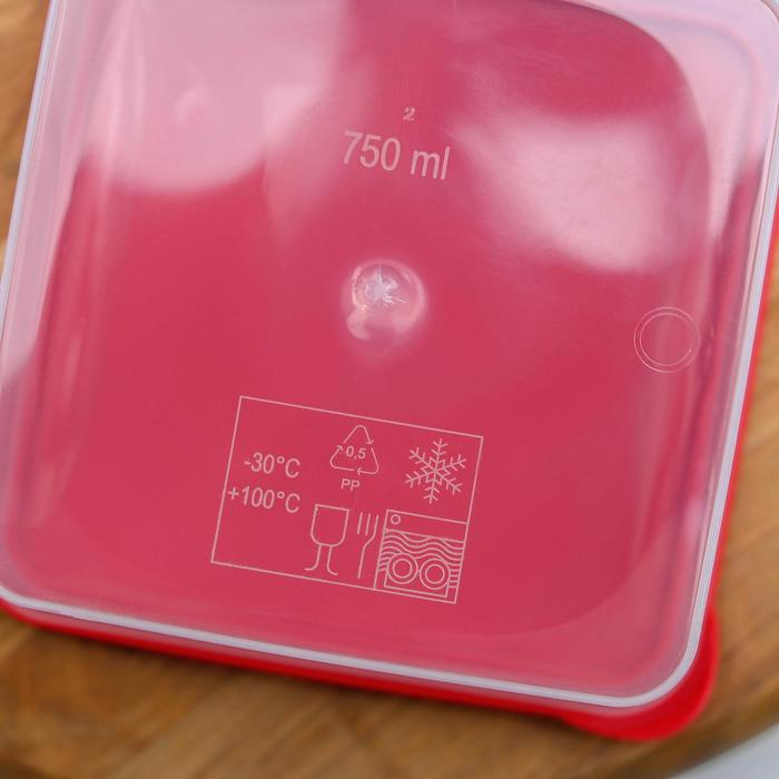 Контейнер пищевой 750 мл "Браво", цвет МИКС