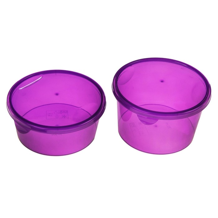 Набор пищевых контейнеров "Браво", 2 шт: 500 мл; 770 мл, цвет МИКС