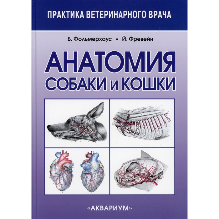 Анатомия собаки и кошки. 2-е издание, исправленное. Фольмерхаус Б., Фревейн Й.