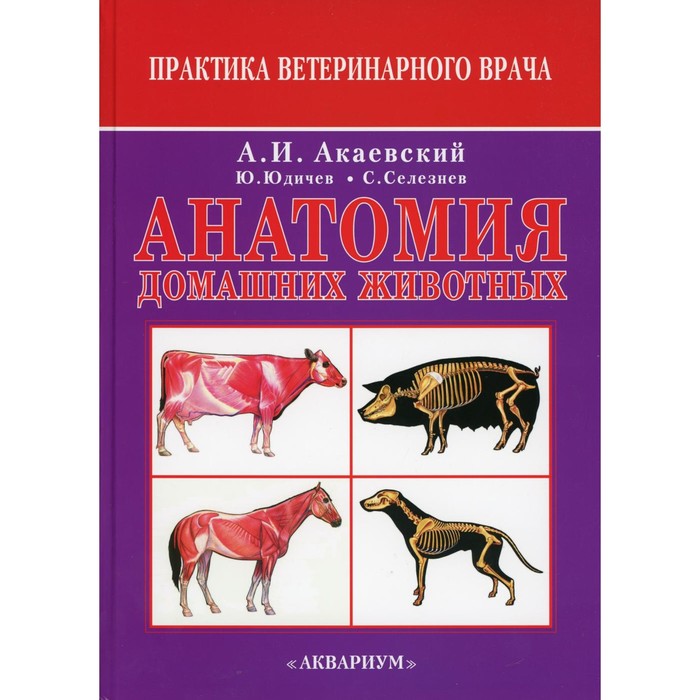 Анатомия домашних животных. 6-е издание, исправленное. Акаевский А.И., Юдичев Ю.Ф., Селезнев С.Б.