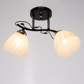 

Люстра 2000/2 E27 60Вт хром+черный 44х26х25 см