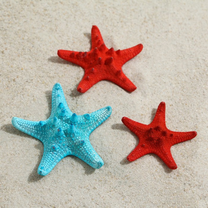 фото Набор из 3 морских звезд, размер каждой 5-10 см, красно-синий пижон аква