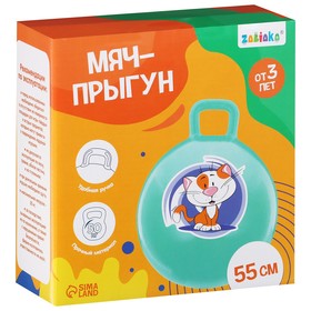 

Мяч-прыгун с ручками «Обезьянка» 55 см, 480 г, цвет голубой