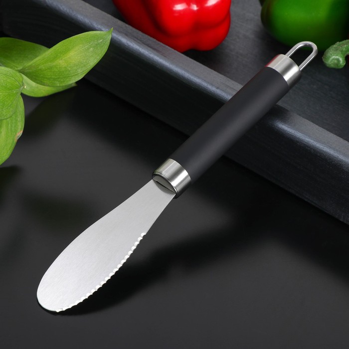 Нож для масла Доляна Venus, нержавеющая сталь, 25 см, цвет чёрный