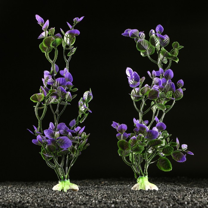 фото Набор растений искусственных для аквариума (2 шт), 25 см, фиолетовый пижон аква
