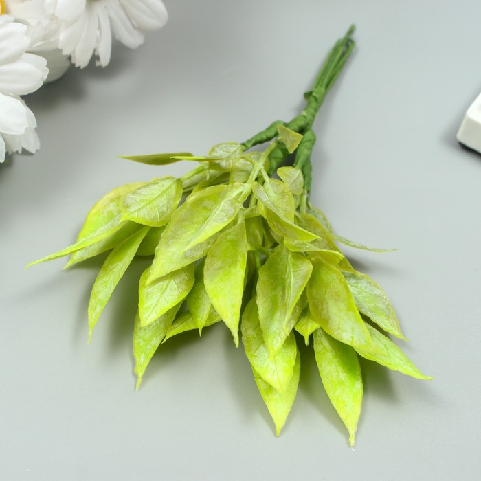 Искусственное растение для творчества Рукус 1 букет=6 веточек зелёный 13 см искусственное растение для творчества рукус 1 букет 6 веточек зелёный 13 см