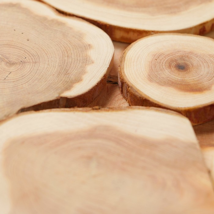 Подставка под горячее «Классика», D=22 см, можжевельник