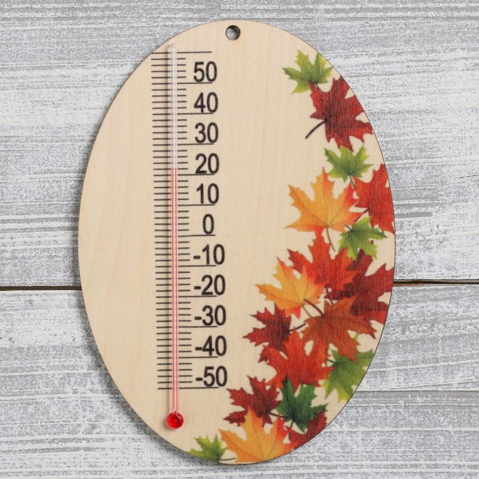 фото Термометр "кленовые листья" 17х12,2 см добропаровъ