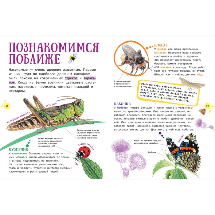 

Гигантская энциклопедия для самых маленьких «Животные»