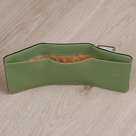 

FA011NP Кошелек на кнопке, отдел для купюр/монет, цвет мята 9,6х7,3х3см