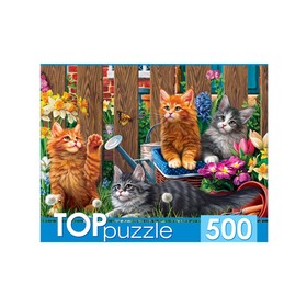 

Пазлы 500 эл. "Котята мейн-кун" ХТП500-4213