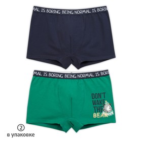 

Трусы для мальчиков, рост 146 см, цвет тёмно-синий, зелёный