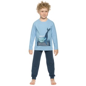 

Комплект для мальчиков, рост 110 см, цвет голубой