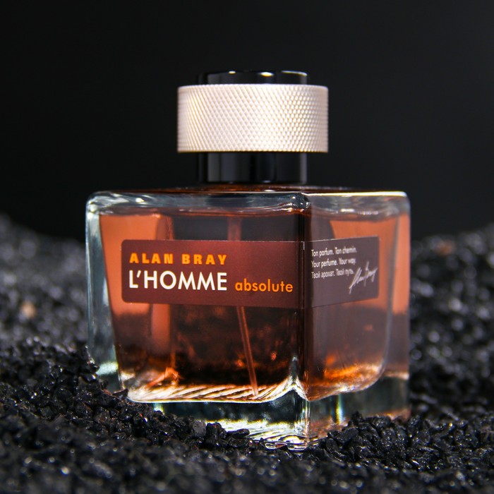 

Туалетная вода мужская Alan Bray L'HOMME Absolute ТВ ,100 мл