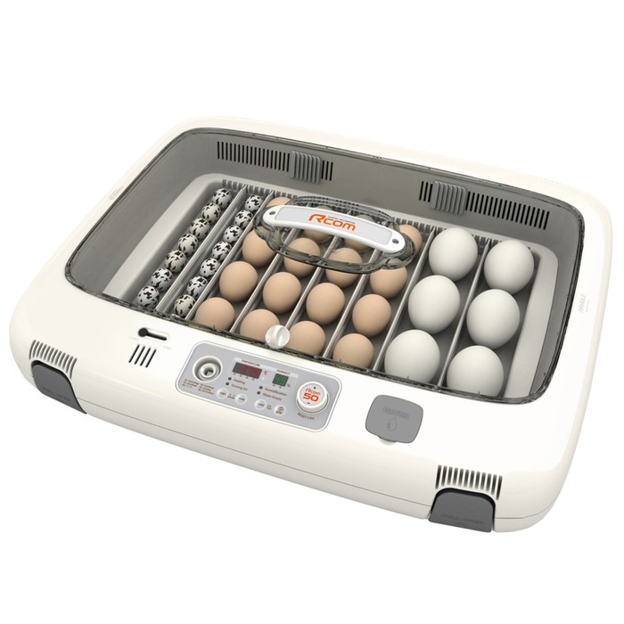 Инкубатор, на 50 яиц, автоматический переворот, 120 В, с овоскопом, Rcom инкубатор на 3 яйца автоматический переворот 220 в с овоскопом rcom mini