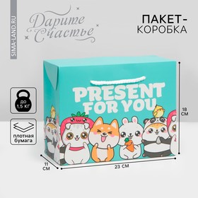 Пакет—коробка, подарочная упаковка, «Present», 23 х 18 х 11 см