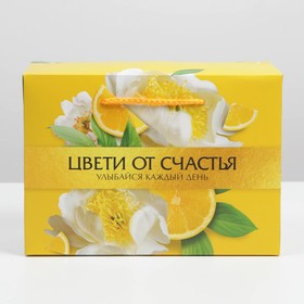 

Пакет—коробка «Lemon», 28 × 20 × 13 см