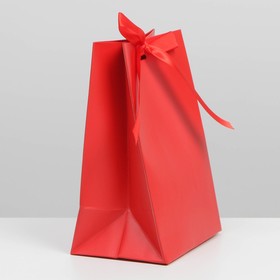 

Пакет подарочный с лентой «Красный», 13 × 19 × 9 см