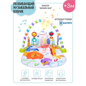 

Развивающий коврик для детей AmaroBaby Play «Лев», размер 80х65х45 см