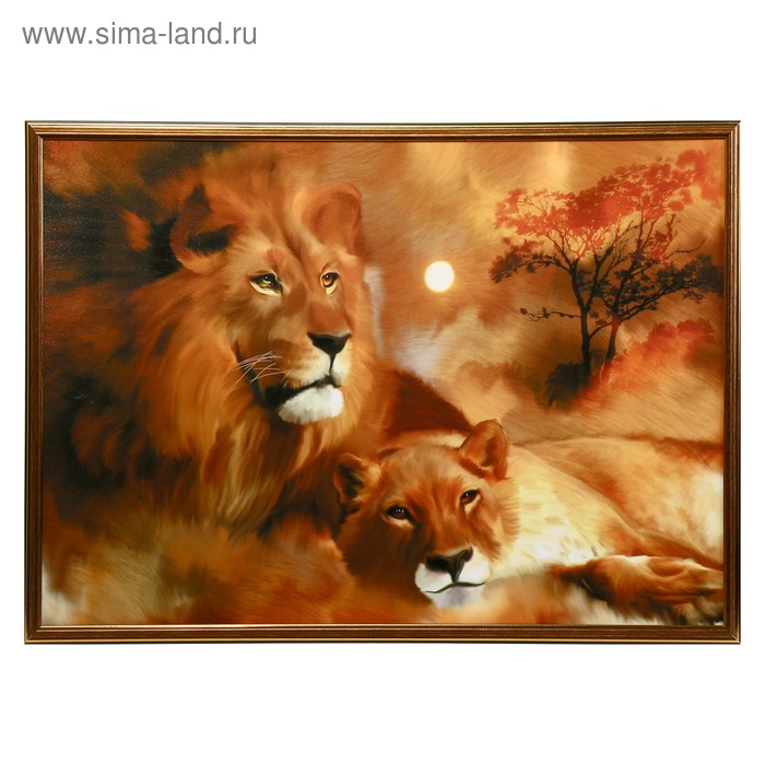 

Картина "Львиная нежность" 73*53см