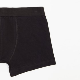 

Трусы мужские боксеры, цвет черный, р-р 52-54 (2XL)