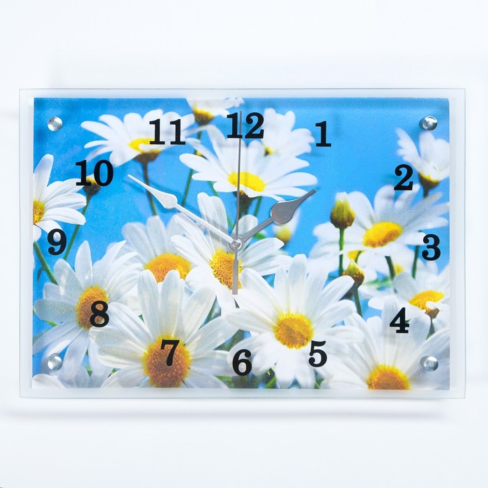 Часы-картина настенные, серия: Цветы, Ромашки, 25х35 см