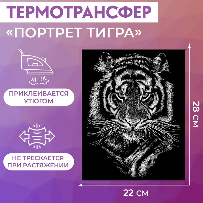 Термотрансфер «Портрет тигра», 22 × 28 см re pa чехол накладка artcolor для vivo y20 с принтом портрет тигра