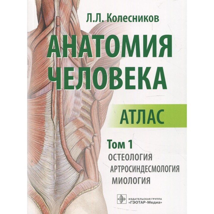 Анатомия человека. В 3-х томах. Том 1. Остеология, артросиндесмология, миология. Колесников Л.Л.