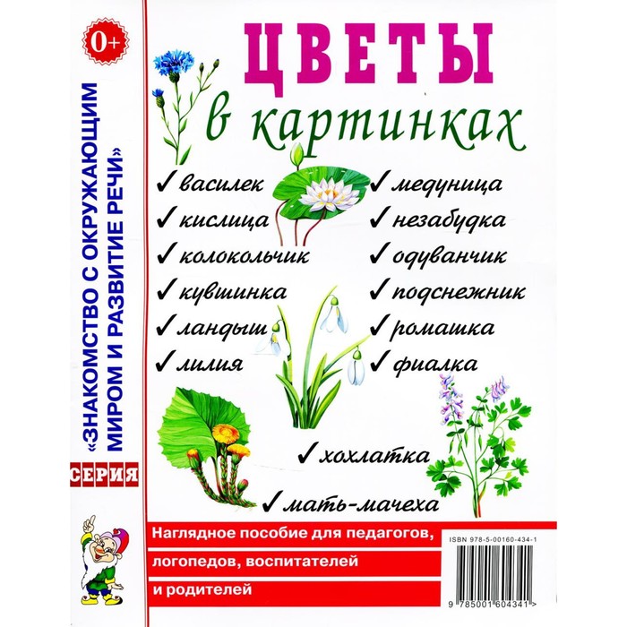 

Цветы в картинках