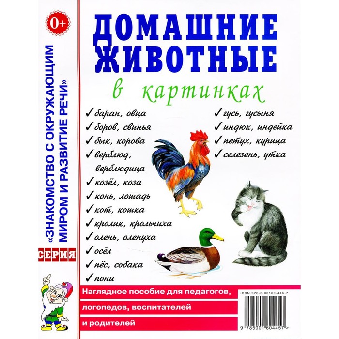 

Домашние животные в картинках