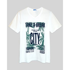 

Футболка мужская, размер 64, цвет белый