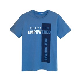 

Футболка мужская, размер 52, цвет голубой